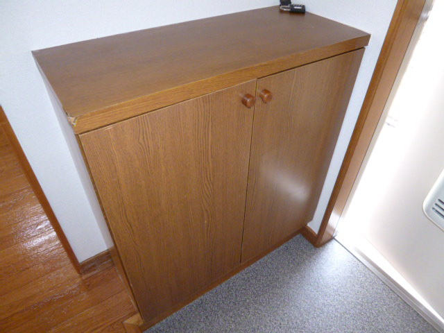 ニューシティエクシードＣの収納|下駄箱