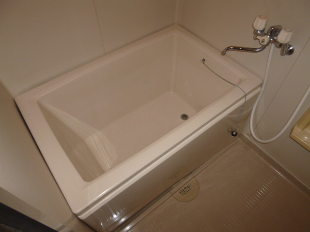 ニューシティエクシードＣの浴室