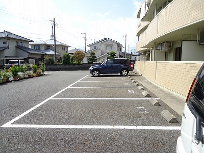  | プリムローズ