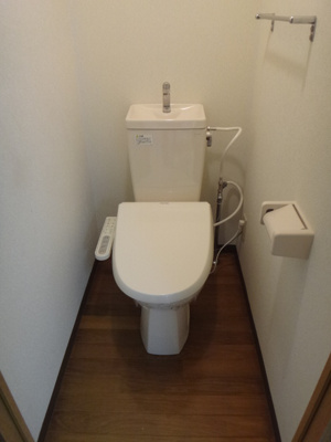  | プリムローズ