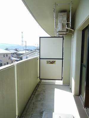  | プリムローズ