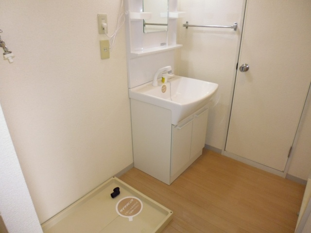 メゾン大津和の洗面所