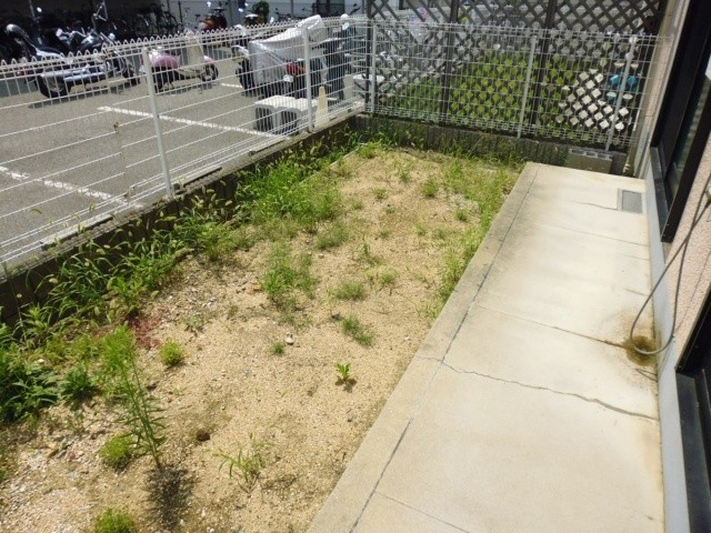 メゾン大津和の庭