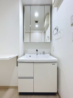 【独立洗面台】 | シティインデックス武蔵小山 | 月額管理料無料！賃貸管理はアブレイズパートナーズにお任せを！