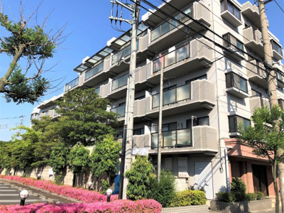 【外観】 | エンゼル鳩ヶ谷南弐番館