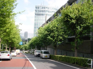 【周辺】 | 前面道路
