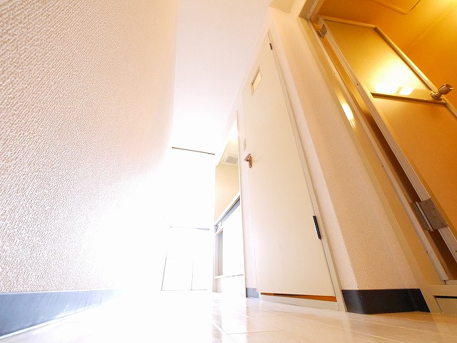 ルミエールタナカの玄関|きれいな玄関です