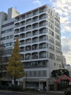 宮前カーネルの画像