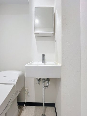 【独立洗面台】 | Launa練馬北町 | 月額管理料無料！賃貸管理はアブレイズパートナーズにお任せを！