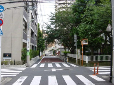 【周辺】 | パークキューブ代々木富ヶ谷 | 前面道路
