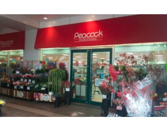 【周辺】 | ライオンズマンション鉢山