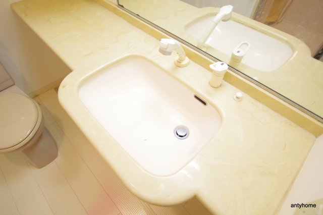 SHINE&SHINE55　仲介手数料無料の洗面所