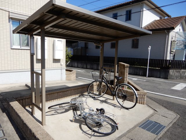 プリムローズ