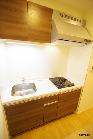 メゾン田中野田　仲介手数料無料のキッチン