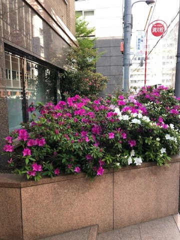 港区虎ノ門１丁目の事務所のその他