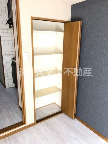 フォレステージ緑橋　BRAVI不動産の収納|【フォレステージ緑橋】十分な収納スペースがあります