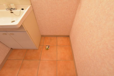 【その他】 | クレベール