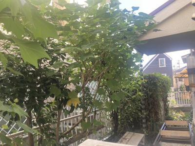 【展望】 | あとりえどまりおん