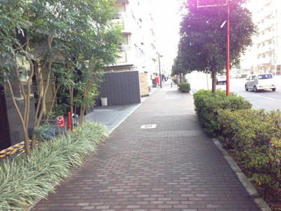 【周辺】 | シティハウス多摩川テラス | 前面道路