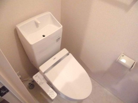 シャトーフェニックスⅡBのトイレ