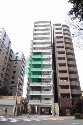 ラフレシーサ県庁口