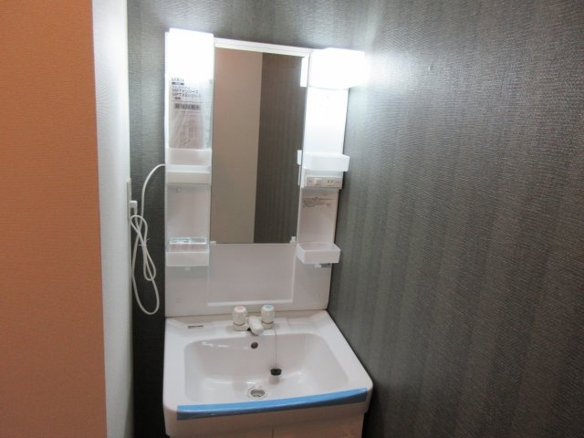 マンションサエイの独立洗面台