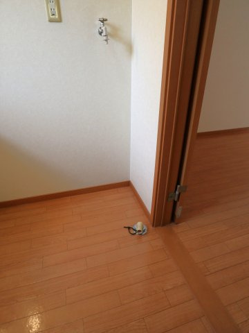 ロータスの設備