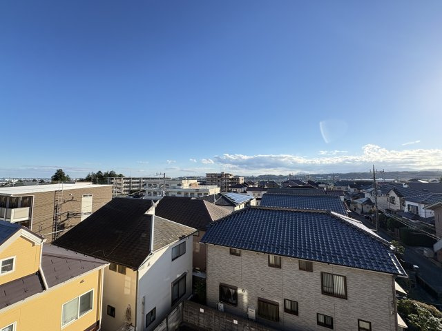 メゾン山王林の展望
