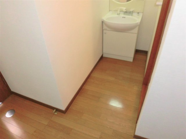 グレートマンションAMの洗面所