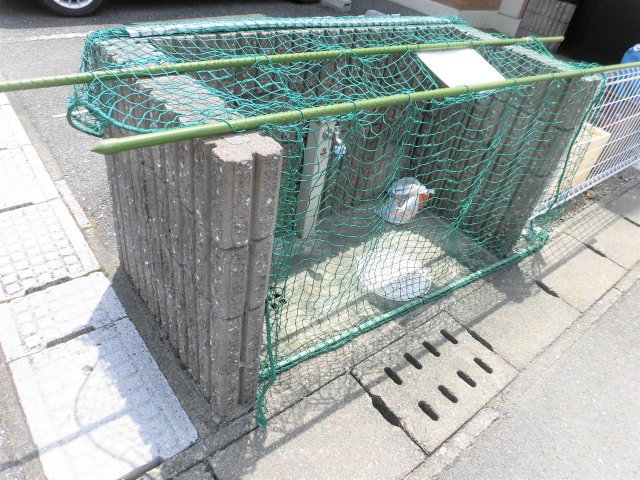 グレートマンションAMのその他共用部分