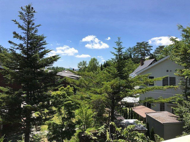 ここだけ、板張りの味わいの展望