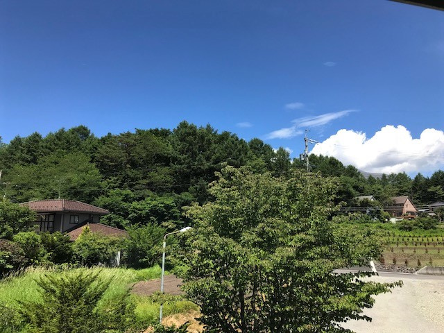 ここだけ、板張りの味わいの展望