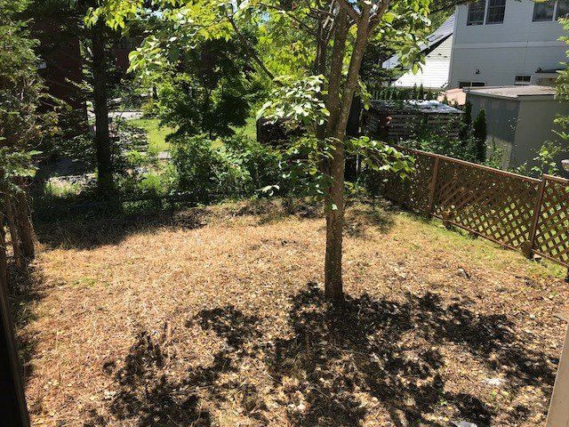 ここだけ、板張りの味わいの庭