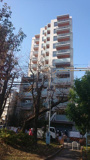 プレミスト代々木公園パークフロントの画像