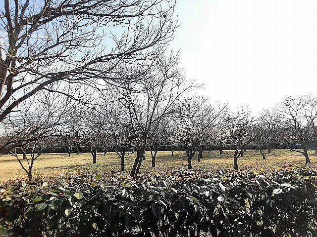 クレストBの展望