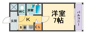 ウィステリアクレハの画像
