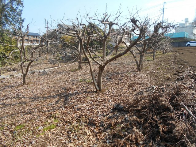 【外観】 | 沼津市岡宮 売土地 ET02061 | 沼津市岡宮　物件内部