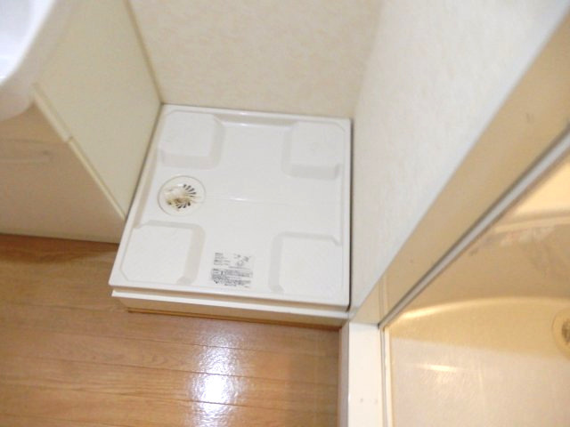 グリーンハウス新美の洗面所