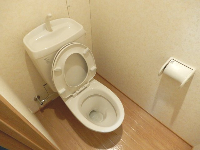 グリーンハウス新美のトイレ