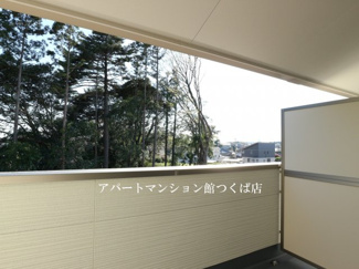 【展望】