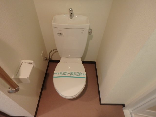 アンギンルマのトイレ