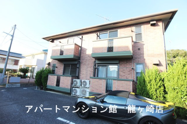 ワカシバウィルモア