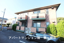 ワカシバウィルモアの画像