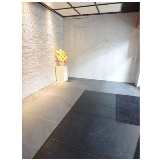 セイワパレス天王寺真田山　BRAVI不動産のロビー|【セイワパレス天王寺真田山】清潔なロビーです