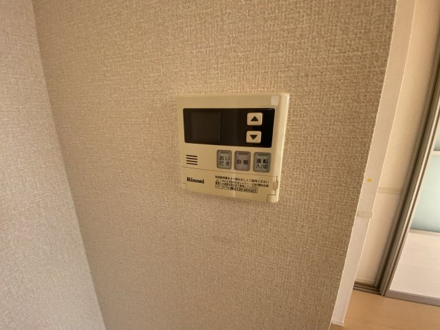 ヴェルドミール飛香のその他