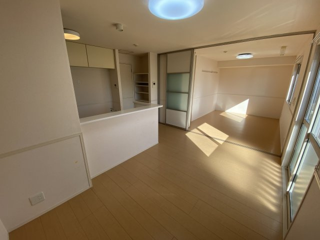 ヴェルドミール飛香のその他
