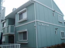 デムール　ノアンの画像