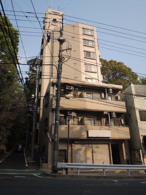 日神パレステージ市川の外観