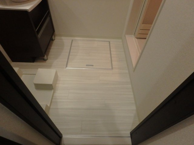 フジパレス長栄寺Ⅱ番館の洗面所