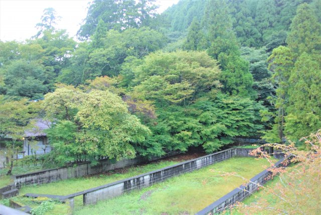 エスポワールヴェネフォランス湯布の森の展望